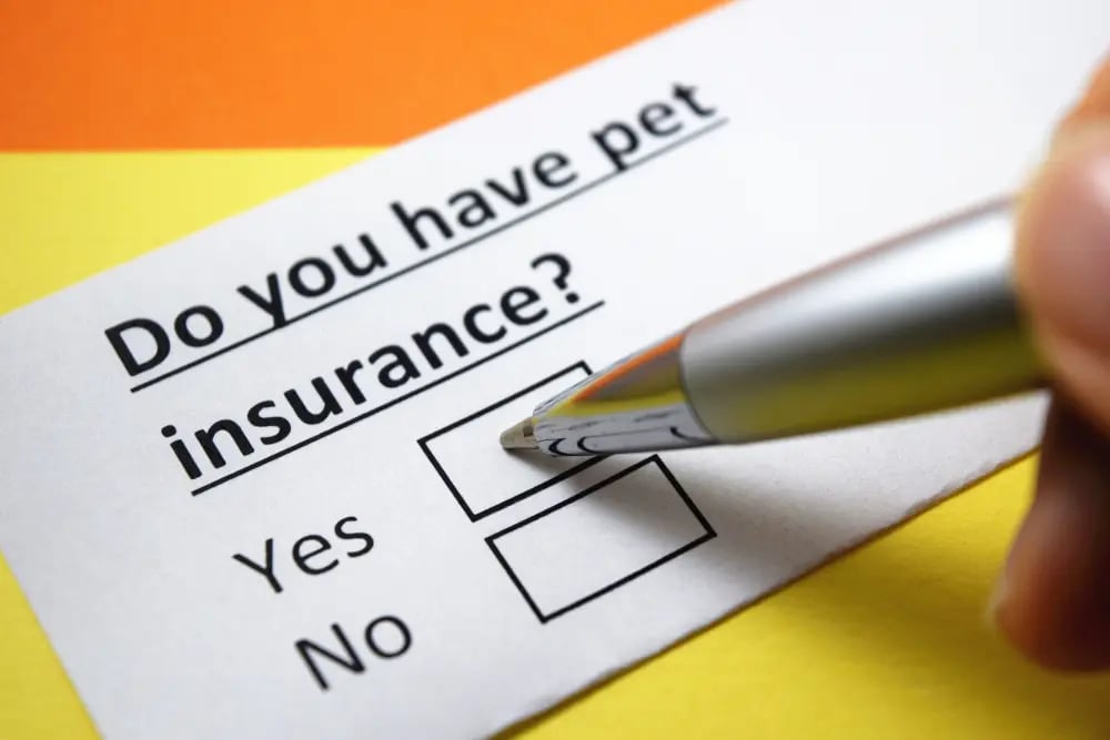 What is the Best Pet Insurance Canada? Best Dog Insurance